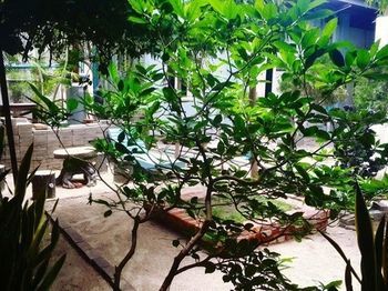 May Kha Lar Guest House Nyaungu Kültér fotó
